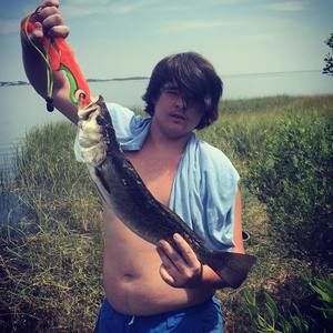 Meet your Posher, Hunter